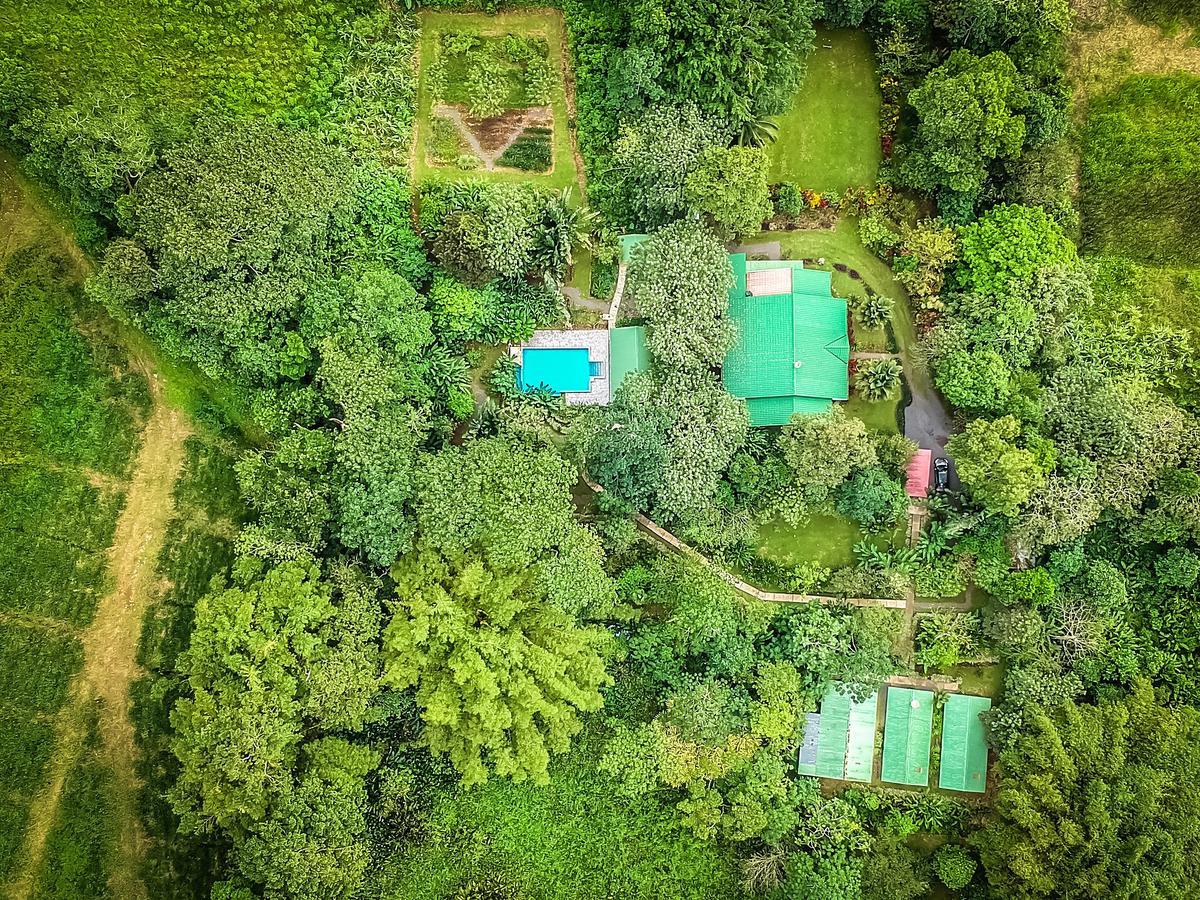 Tropical Paradise Bungalows Pital  Eksteriør billede